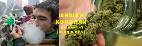 соль ск Алзамай