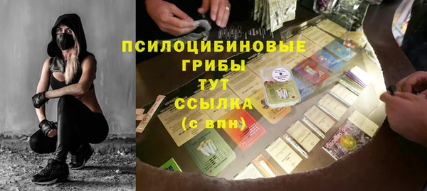 гашик Алексеевка