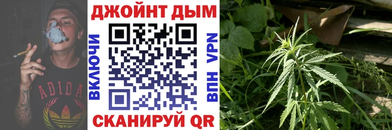 omg tor Десногорск Бошки Шишки план